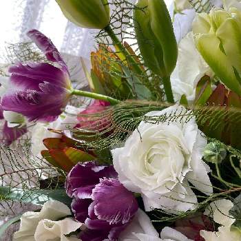 お誕生日ブーケの投稿画像一覧 Greensnap グリーンスナップ