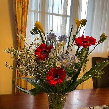 マリンブルーの投稿画像一覧 Greensnap グリーンスナップ