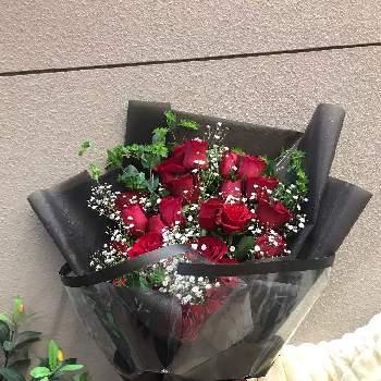 カインズホームの画像 by anmi218さん | 部屋と癒しとGS映えと植中毒と綺麗としあわせ♡とカインズ蓮田店と韓国風ラッピングと可愛いと花のある暮らしと想いを形にと赤い薔薇♡とカインズホームと切り花と花束