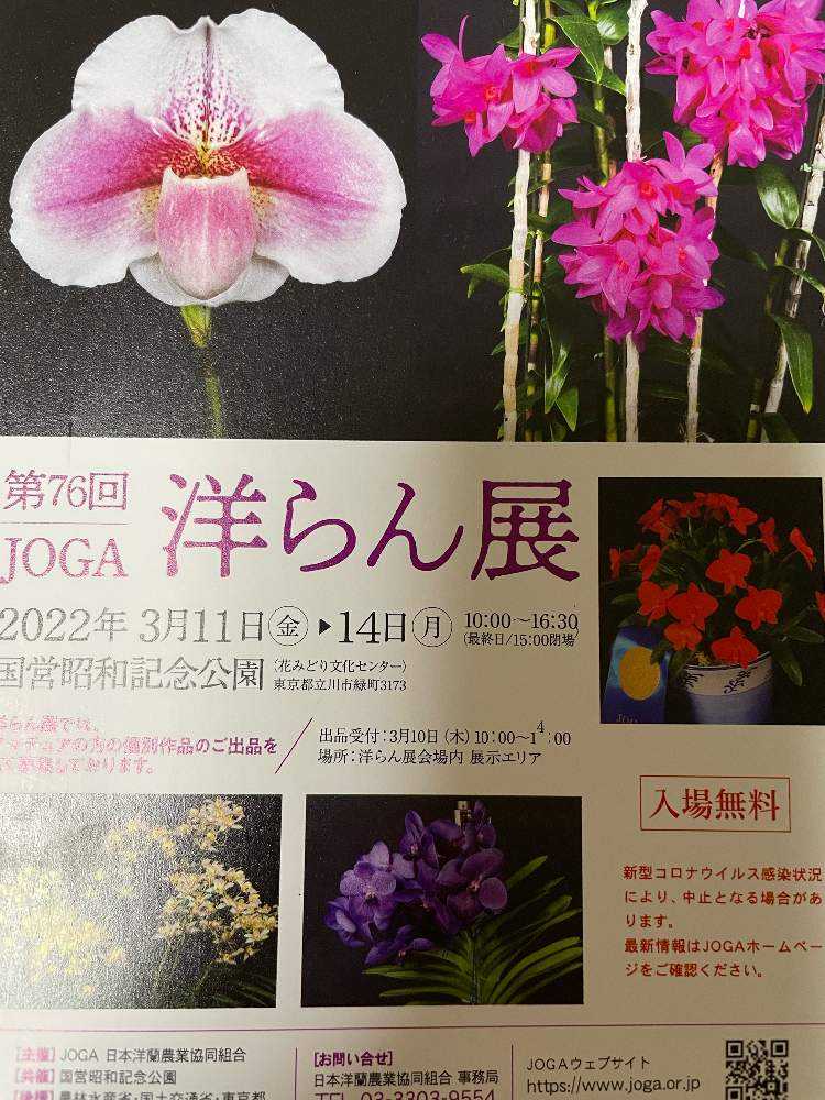 第76回 Joga 洋らん展 22 03 11 14 国営昭和記念公園 Greensnap グリーンスナップ