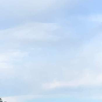 空の記録の画像 by ハルさん | 窓辺と空の記録と雲仲間とおはようの１枚と平和を願う☆と丹沢