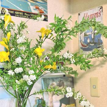 生花好きの画像 by 59・60・Mさん | 玄関と生花と生花好きとフリージア♪と小手毬♡
