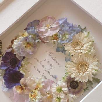 花の好きな人と繋がりたいの投稿画像一覧 Greensnap グリーンスナップ