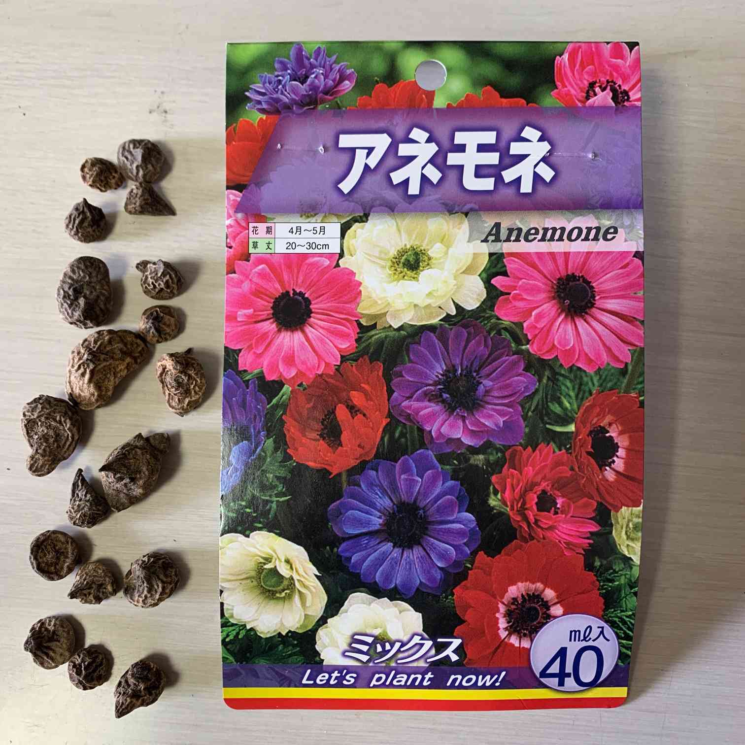 ❣️300h❣️ アネモネ 球根 ❣️300h❣️ アネモネ 球根 ❣️300h
