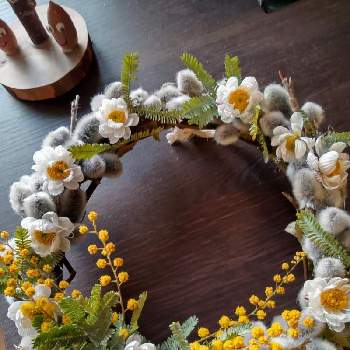 春のリースの投稿画像一覧 Greensnap グリーンスナップ