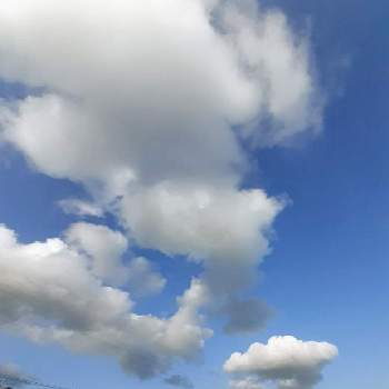 ☁️雲のアート☁️の画像 by さくら貝さん | お出かけ先と♡枯れススキとスマホ撮影と☁️雲のアート☁️と景色と雲仲間と♡雲のアート♡と風景