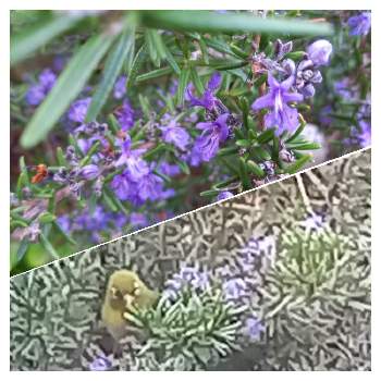 メジロの画像 by しまちゃんさん | 小さな庭とローズマリーとメジロ