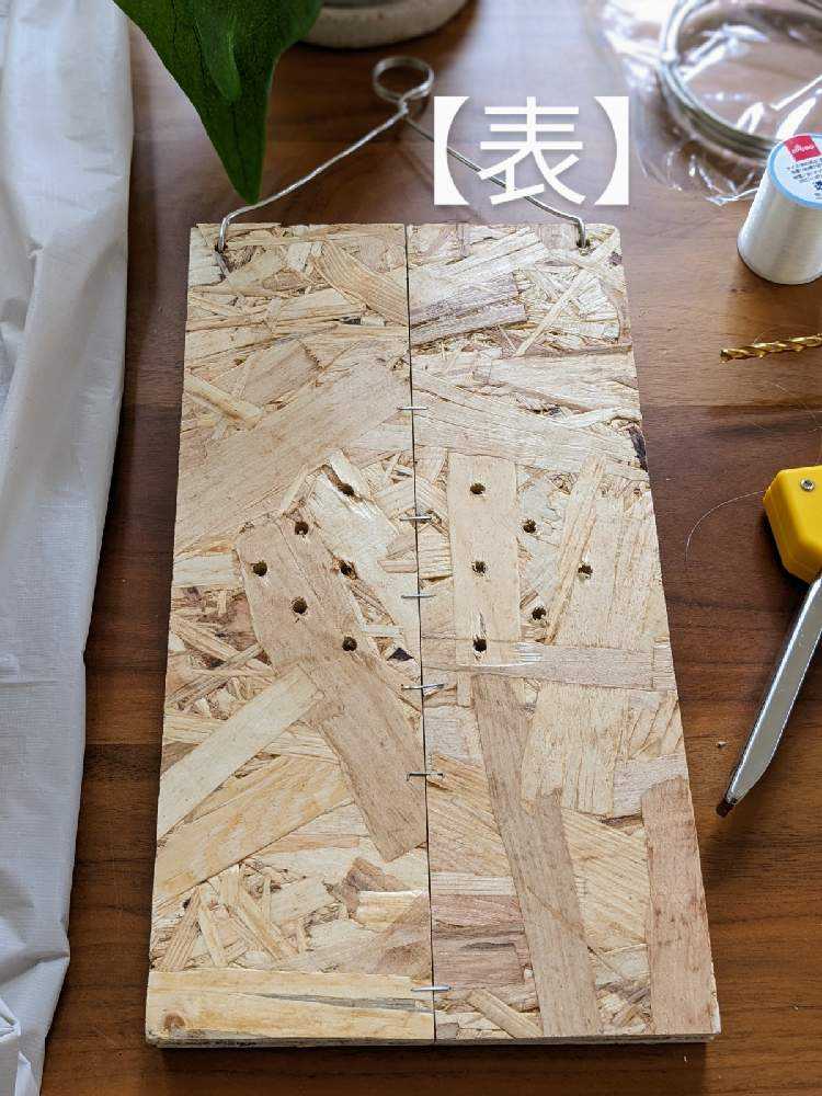 ビカクシダ 板付 ビカクシダ キッチャクード 板付 【観葉植物 壁掛け コウモリラン