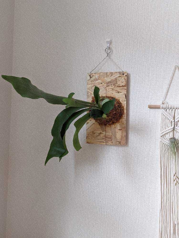 1647502661361_thum_675597_2022