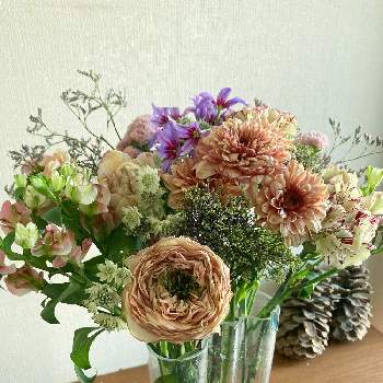 マムの画像 by jutaさん | バラとカーネーションとマムとチューリップとリューココリネと花のある暮らしと花いろいろとAlver Aalto Collectionと君も花が好きなのか