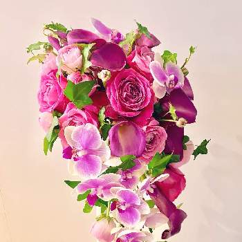 カラー 切り花 の投稿画像一覧 Greensnap グリーンスナップ