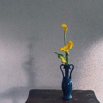 花器の画像 by akanepotteryさん | 部屋とカラーと花器と花のある暮らしとなげいれと花のある幸せ
