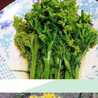 水菜の育て方 種まき時期や日当たり加減は ベランダや室内でも栽培できる Greensnap グリーンスナップ