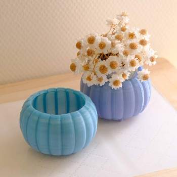 ハンドメイド 鉢の画像 by kurageさん | 窓辺と花かんざしとハンドメイド 鉢とドライフラワーと環境に優しい鉢と見てるだけで嬉しいとハンドメイド