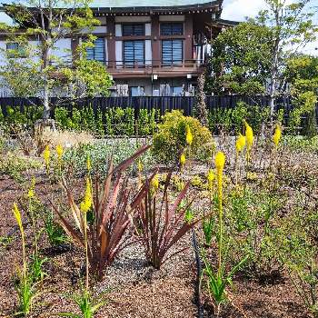 東京荒川区の画像 by shiba47さん | お出かけ先とブルビネラと今朝の散歩と東京荒川区と宮前公園