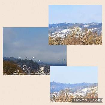 山の景色の画像 by かえるちゃんさん | お出かけ先と雪景色と景色と山の景色と癒しと白鳥♡と輝く木々とあさとやまと ゆき  