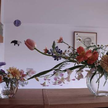 投げ入れの画像 by ポンタさん | 部屋とルピナスとアルストロメリアとマムとチューリップとカトレアと切り花と投げ入れ