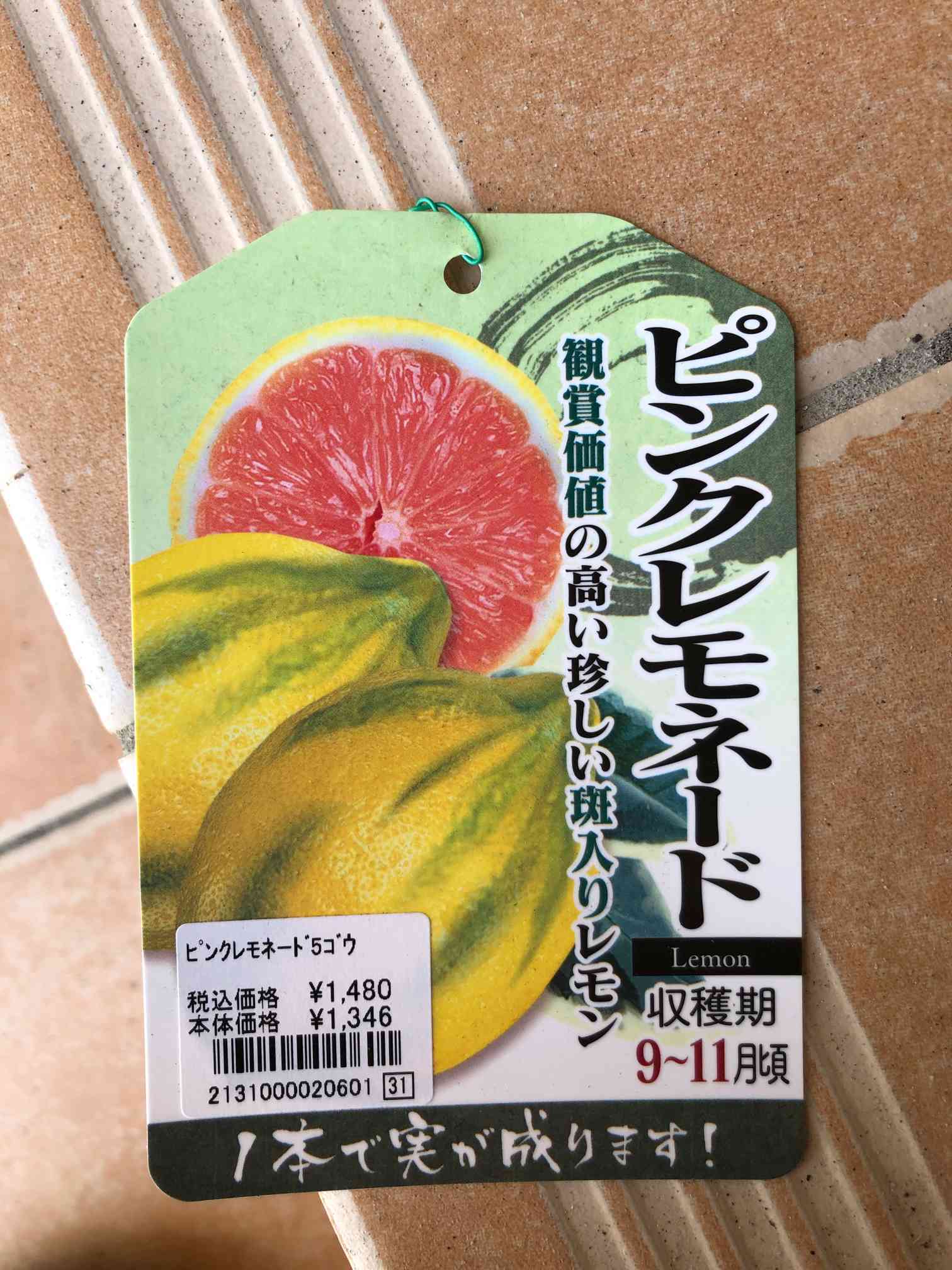 れもんページ 1647856515065_553230_photo.jpg