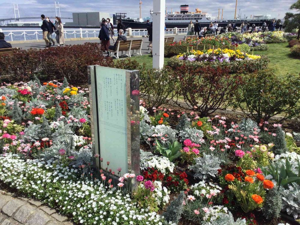 ララちゃんさんの山下公園への投稿