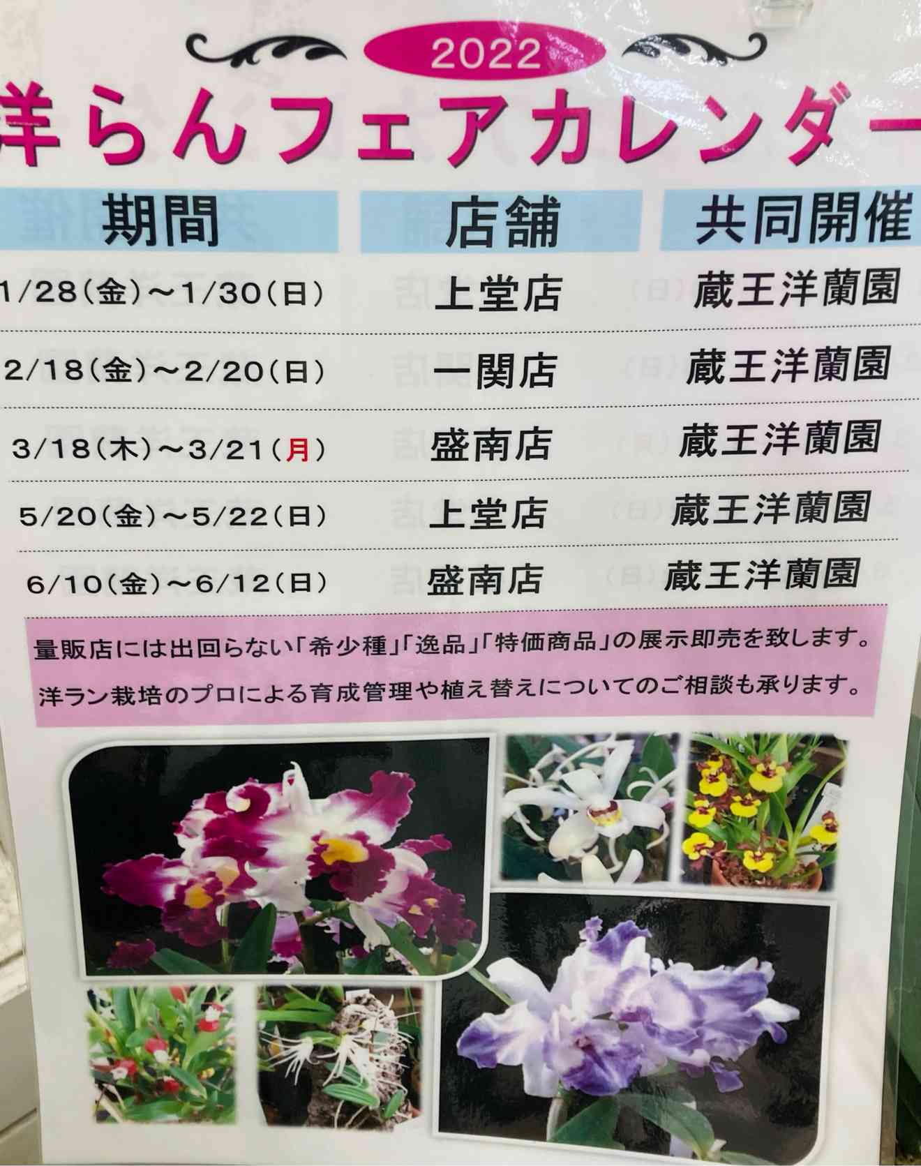 ホーマック洋蘭フェアでの購入記録〜2022/3/19〜｜🍀GreenSnap