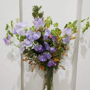 ブプレリウム の投稿画像一覧 Greensnap グリーンスナップ