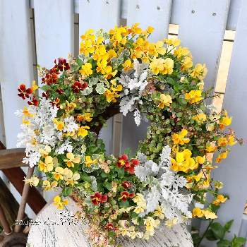 Tomokichi様専用 リース 寄せ植えに Www Vetrepro Fr