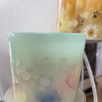 野鳥,野鳥観察,佐賀県,みどりのまとめ,野鳥のいる景色の画像