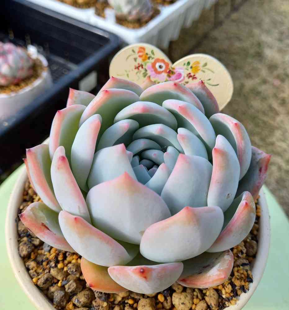 1648094494121_120192_20220324_