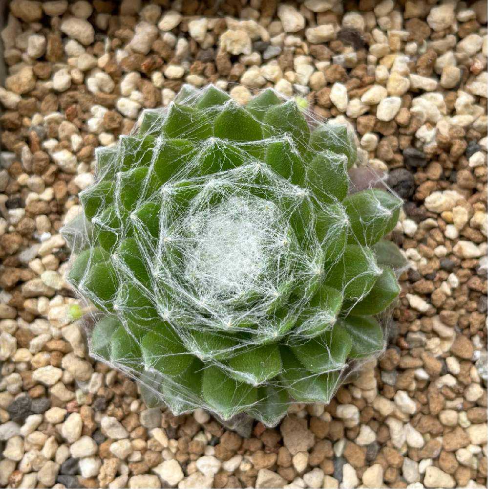 1648270519888_thum_192322_phot