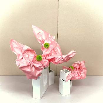 テーブル花の画像 by apricot53さん | 部屋とマムとピンポンマム　ピンポン菊とテーブル花とおうちで飾る花といけばなとフラワーアレンジメントと切り花と生け花