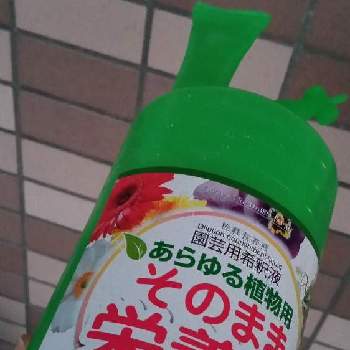 栄養剤の投稿画像一覧 Greensnap グリーンスナップ