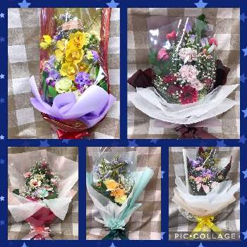 カインズ蓮田店の投稿画像一覧 Greensnap グリーンスナップ