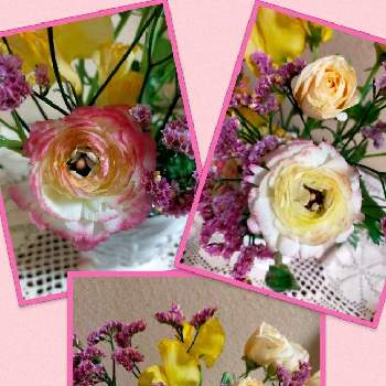 薄いピンクの投稿画像一覧 Greensnap グリーンスナップ