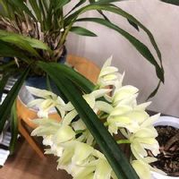 0nbqqoaflksp7m 0nbqqoaflksp7m