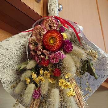 お花のプレゼントの画像 by マイフラワーさん | 部屋とヘリクリサム！とスワッグと可愛いお花とお花のプレゼントと本日のお花⑅◡̈*と綺麗なお花