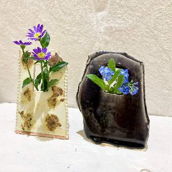 花器の画像 by rumikoさん | インテリアと一輪挿しと花器と緑のある暮らしと庭のある暮らしと展示会と雑草と花のある暮らしと生け花
