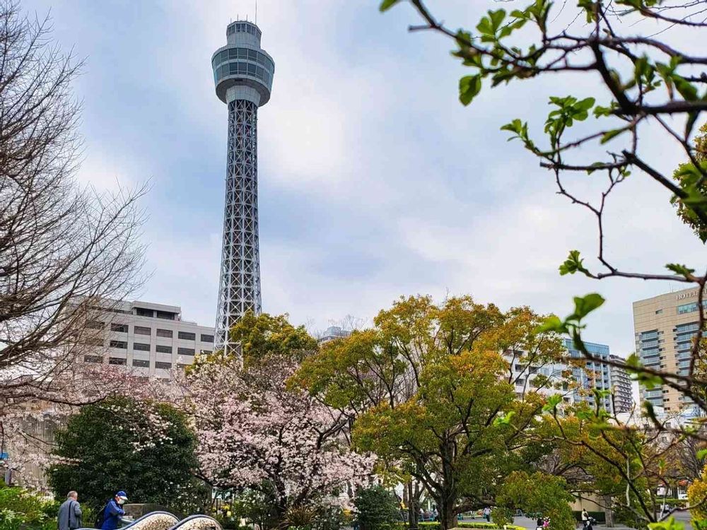 みやちゃんさんの山下公園への投稿