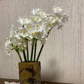 陶芸作品の画像 by ローズちゃんさん | HTCと陶芸作品と 水仙と花のある暮らしと癒しのひと時
