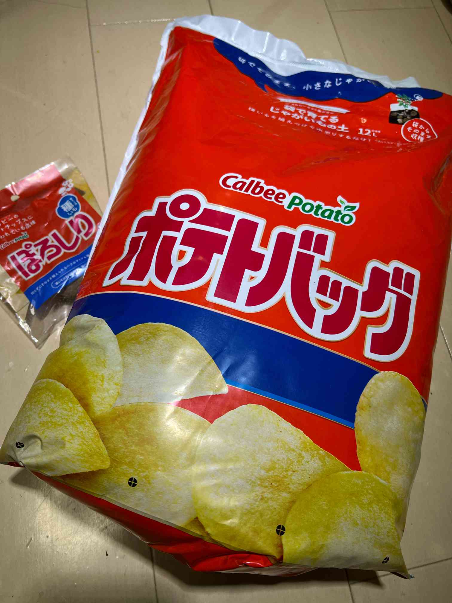 初心者】ポテトバッグでぽろしり栽培｜🍀GreenSnap（グリーンスナップ）