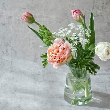 日比谷花壇の画像 by shionさん | 窓辺と チューリップとうち花アンバサダーとフラワーサイクリストと❇︎ラナンキュラスと花のある暮らしとお花のある生活とweekendflowerと日比谷花壇