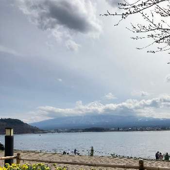 河口湖の画像 by passion flowerさん | お出かけ先と富士山と無修正とおしゃれな土曜日♪と河口湖と春らしいと平和を願う☆