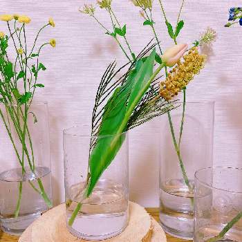 花の飾り方の画像 by niki 可愛いお花屋さんが好きさん | チューリップとグレビレア スパイダーマンと花の飾り方とガラスの花瓶とお花のある生活と花は癒やし♡と切り花