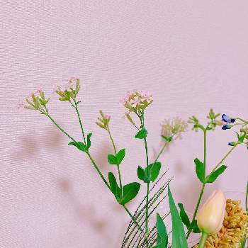 花の飾り方の画像 by niki 可愛いお花屋さんが好きさん | 名前を教えて！と花の飾り方とガラスの花瓶とお花のある生活と花は癒やし♡と切り花