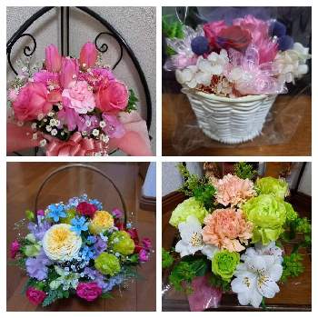 定年退職祝いの投稿画像一覧 Greensnap グリーンスナップ