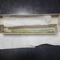 プルメリアの挿し穂,ハワイの花,プリメリアの 挿し穂,部屋の画像