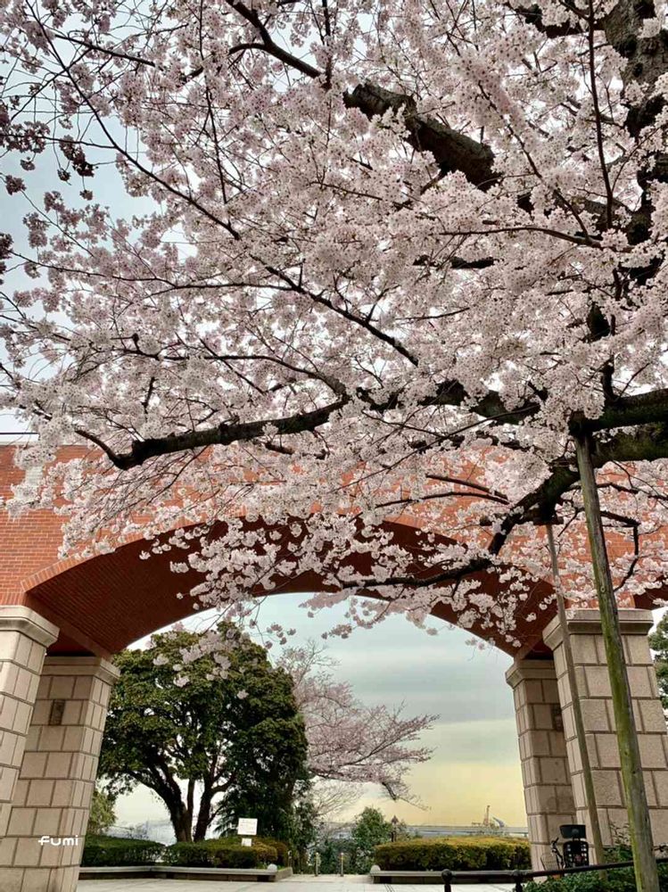 fumiさんの港の見える丘公園への投稿