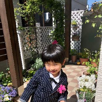 息子君♡の画像 by hinamama ♡さん | 小さな庭と息子君♡と入園と楽しく過ごせますよ〜に♡