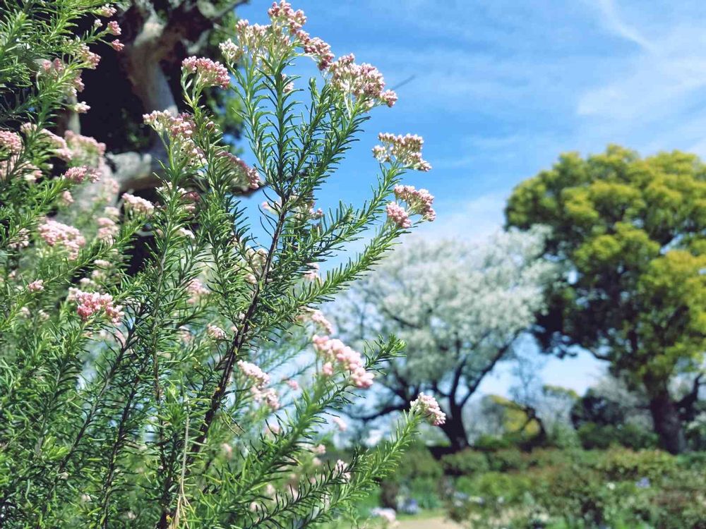 エリィさんの港の見える丘公園への投稿