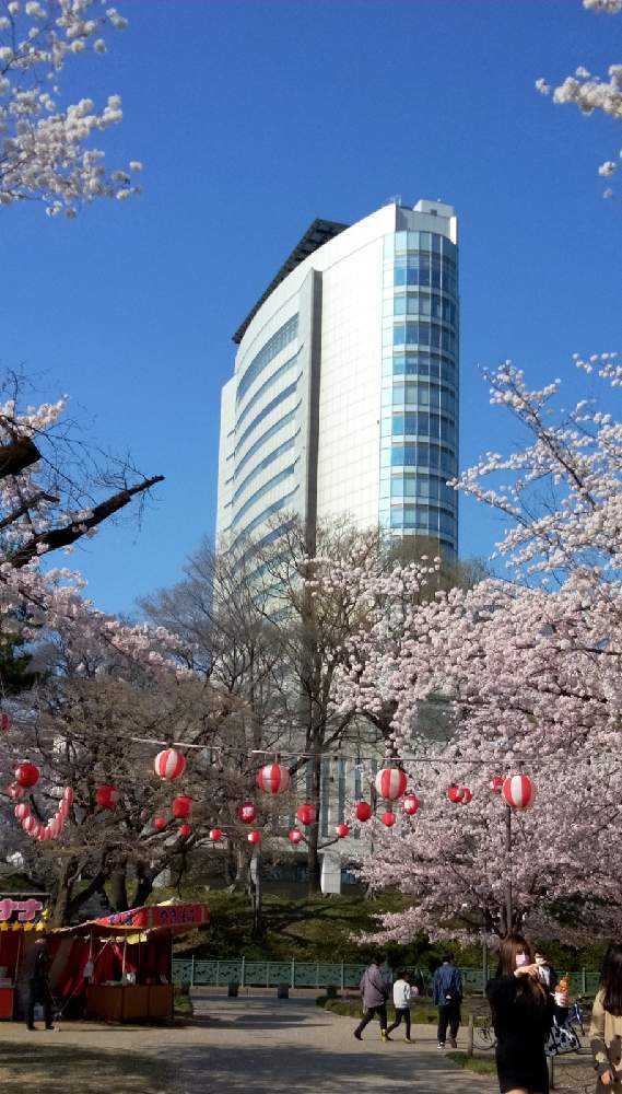 高崎公園 のお花見 Greensnap グリーンスナップ