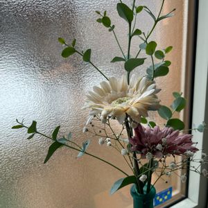 かすみ草,ユーカリグニー,窓際,造花,キッチンの画像